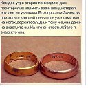 ���� ��������, ������, 51 ��� - ��������� 3 ��� 2015