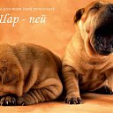 ���� ������, �����, 41 ��� - ��������� 24 ������� 2015 � ������ ������ ��������