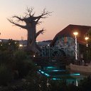 ����-���� �� ������� ���� ����������