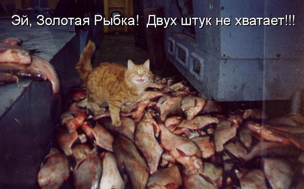   - 5  2015  13:13