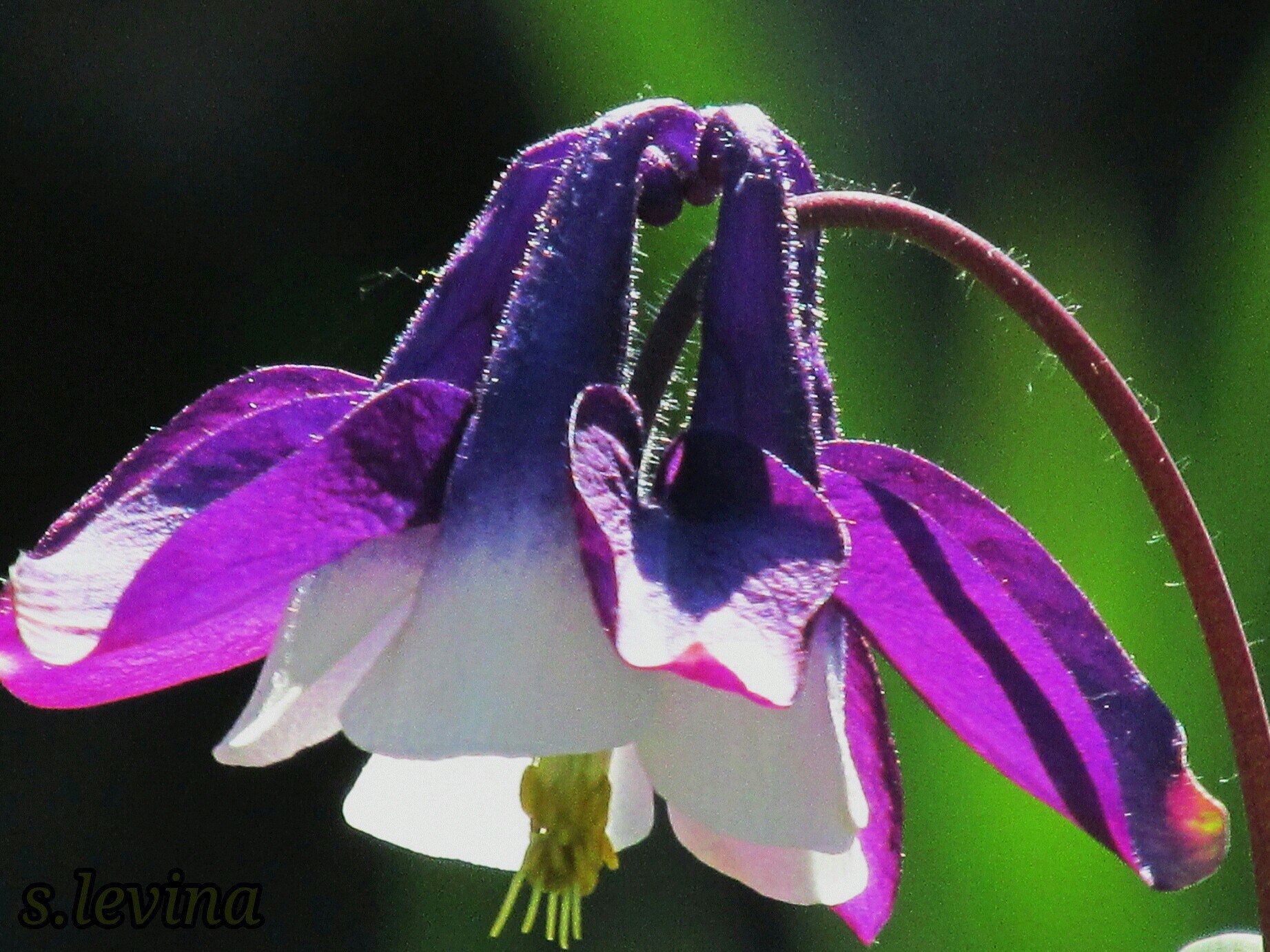    .   https://fotostrana.ru/away?to=/sl/KE2 - 2