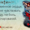 ���� ������, �����������, 42 ���� - ��������� 10 ���� 2015 � ������ ������ ��������