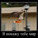 ���� �����, ������������ - ��������� 6 ���� 2015 � ������ ������ ��������