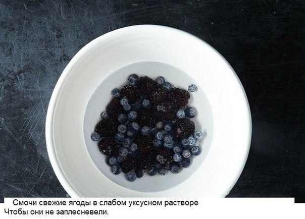 10 ������ �������� ��������, � ������� �� ����� ���� ���� ����.