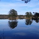 ���� Anrii, ɸ�������, 57 ��� - ��������� 20 �������� 2015 � ������ ���� ����������