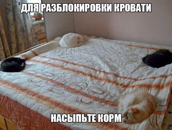    :-) - 17  2015  19:40