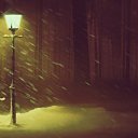 ���� ���������, ��������, 40 ��� - ��������� 8 ���� 2015