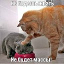 ���� �������, ����������, 60 ��� - ��������� 22 �������� 2015 � ������ ���� ����������
