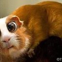 ���� ������, ������, 31 ��� - ��������� 28 ���� 2015 � ������ ���� ����������