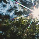 ��� ������