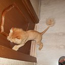 ����� ��������� ����� ����- ˨�� ������ ���������� , ��� � ���))))))) �� ������� �������-������� ������!!!!�
