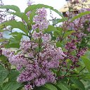 ���� Z, ������ - ��������� 8 ���� 2015 � ������ �������