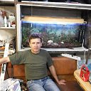 �������� � ������ �� ������� ���� ����������