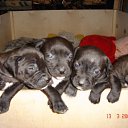 ���� �������, ���� - ��������� 20 ���� 2015 � ������ ������ ��������