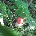 ���� �������, ����� - ��������� 13 ���� 2015 � ������ ���� ��������