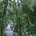 ���, 33 �������� �� ������� ���� ����������