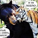 ���� �����, ����, 44 ���� - ��������� 29 ��� 2015 � ������ ������ ��������