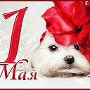 ���� ����, ���� - ��������� 1 ��� 2015 � ������ ������ ��������