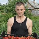 ���� ����������, �����-��������� - ��������� 4 �������� 2015 � ������ ���� ����������