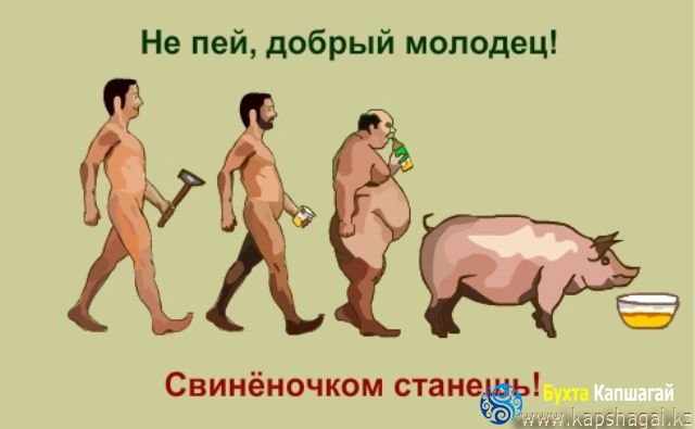 Виталий Лозин - 26 августа 2015 в 08:45