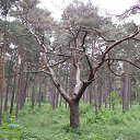 ���� Andrejs, ����, 64 ���� - ��������� 23 ���� 2015 � ������ ���� ����������