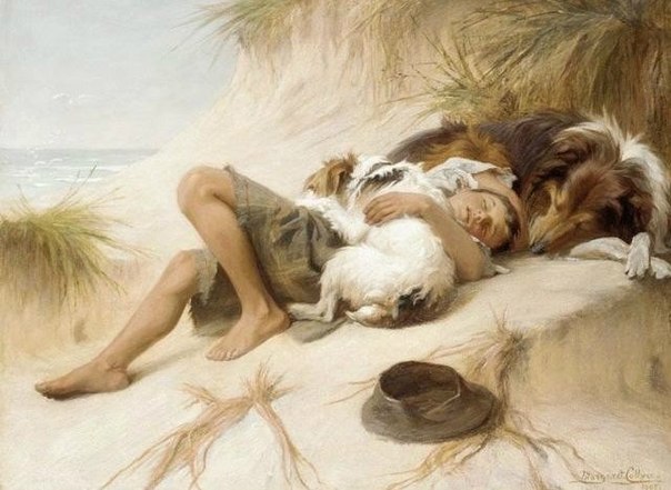 За что любить собак? Да, в общем-то, вы правы... За сгрызенные тапки, за слюни на руках? За лужу под ...