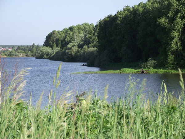 Рп5 киселевск кемеровская