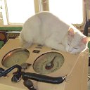 ���� ������, �����������, 54 ���� - ��������� 2 ������� 2015 � ������ �������