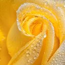 ���� Lyubov Perevezenceva, ��������� - ��������� 7 ���� 2015 � ������ ������ ��������