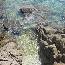    -  ,  -  4  2015   .  2015.  .  10-.