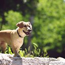 ���� �������, ������������ - ��������� 8 ���� 2015 � ������ ���� ����������