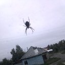 ��� ���������!...)) �� ������� ���� ����������