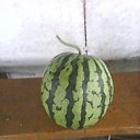 ��� ����� �� ������� ���� ����������