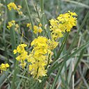 ���� Z, ������ - ��������� 8 ���� 2015 � ������ �������