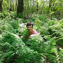 ���� �������, �����-���������, 63 ���� - ��������� 26 ���� 2015 � ������ ���� ����������