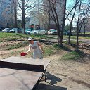 ���� ���������, �������� - ��������� 3 �������� 2015 � ������ ���� ����������