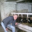 ���� �������, �������, 40 ��� - ��������� 29 ��� 2015 � ������ ���� ����������