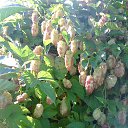 ���� H�������, ���������, 63 ���� - ��������� 11 �������� 2015 � ������ ������ ��������