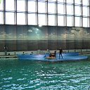 ���� ������, �����-���������, 70 ��� - ��������� 22 �������� 2015 � ������ �� ����������� �����-����������