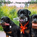 ���� Dilik, �������, 43 ���� - ��������� 28 ������� 2015 � ������ ���� ����������