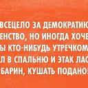 ���� ��������, ������, 41 ��� - ��������� 1 �������� 2015 � ������ ������ ��������