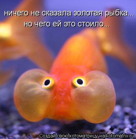 ����� �������� - 20 ���� 2015 � 10:31