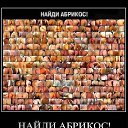 ���� �����, �����������, 47 ��� - ��������� 30 ���� 2015 � ������ ���������