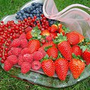 ���� �����, ������ - ��������� 13 ������� 2015 � ������ ���� ����������