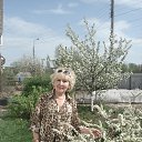 ���� �������, ������ ��������, 71 ��� - ��������� 16 ��� 2015 � ������ ���� ����������