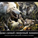 ���� Nelli>>>........................, ����������-���������, 49 ��� - ��������� 10 ���� 2015 � ������ ���� ����������