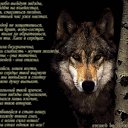 ���� Nelli>>>........................, ����������-���������, 49 ��� - ��������� 10 ���� 2015 � ������ ���� ����������