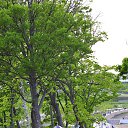 ���� Yuri, �������, 54 ���� - ��������� 31 ��� 2015 � ������ ���������� ���� ����� 2015�