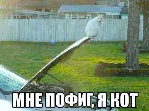 ������������ ���� - 24 ��� 2015 � 11:58