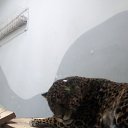 ���� Gleb, ��������� - ��������� 14 ��� 2015 � ������ ���� ����������